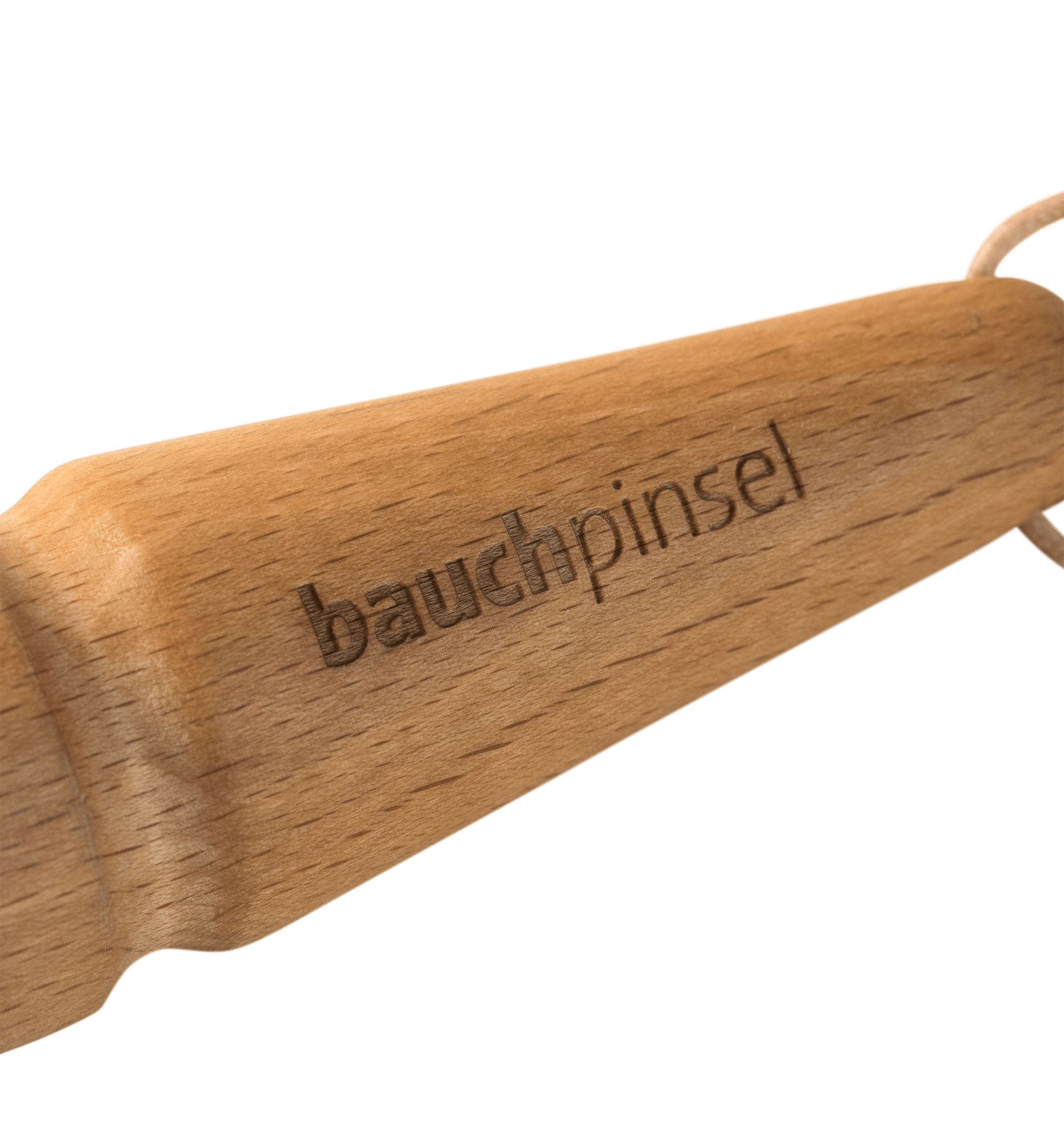 Bauchpinsel, Buche, Rosshaar