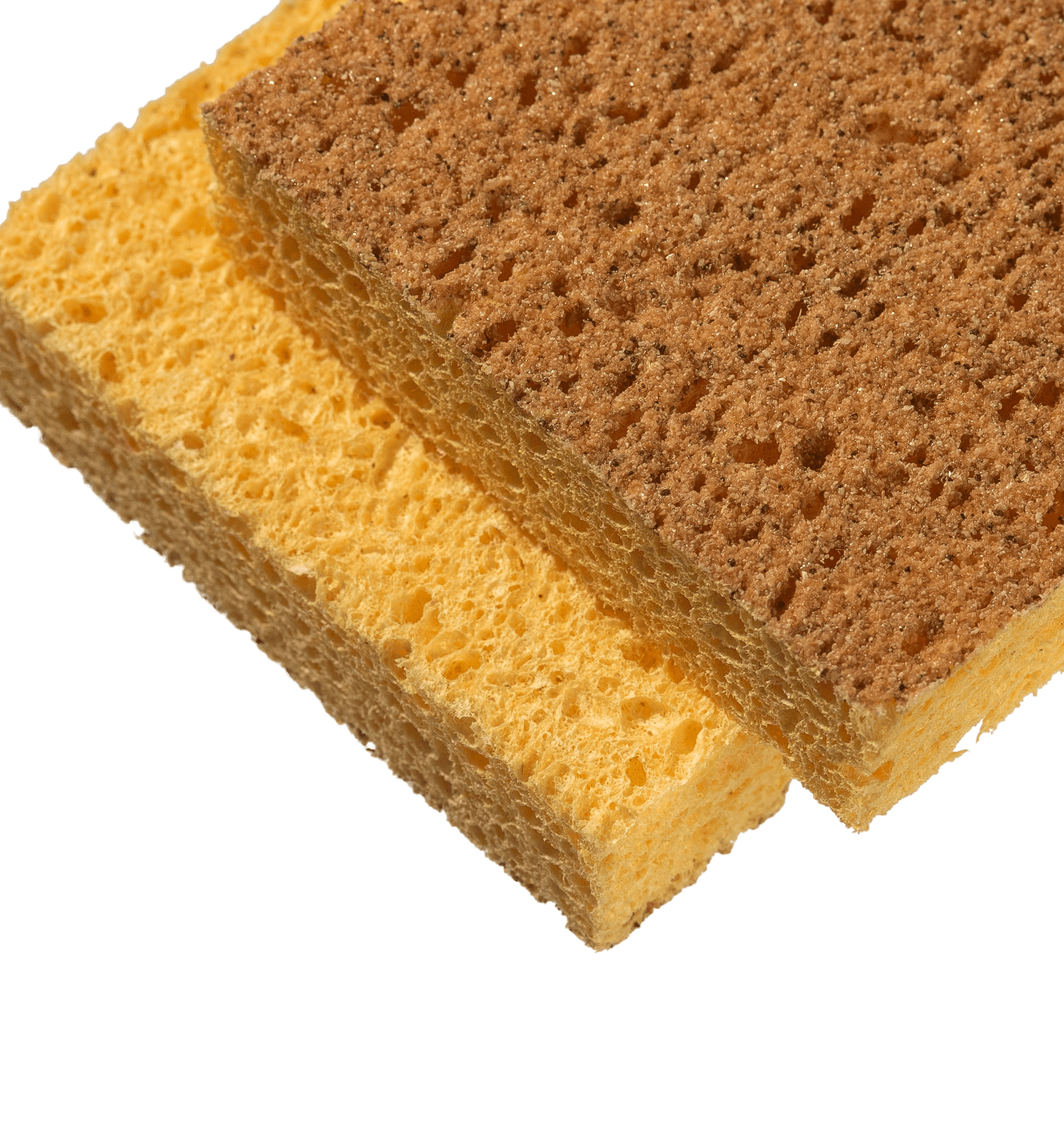 Spülschwamm natur, 2er Pack